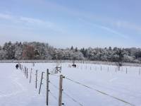 IMG-9143