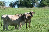 bilder Canon 575 Kopie_2