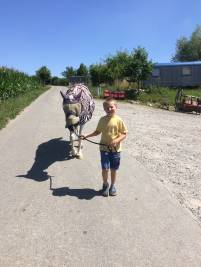 IMG-7807